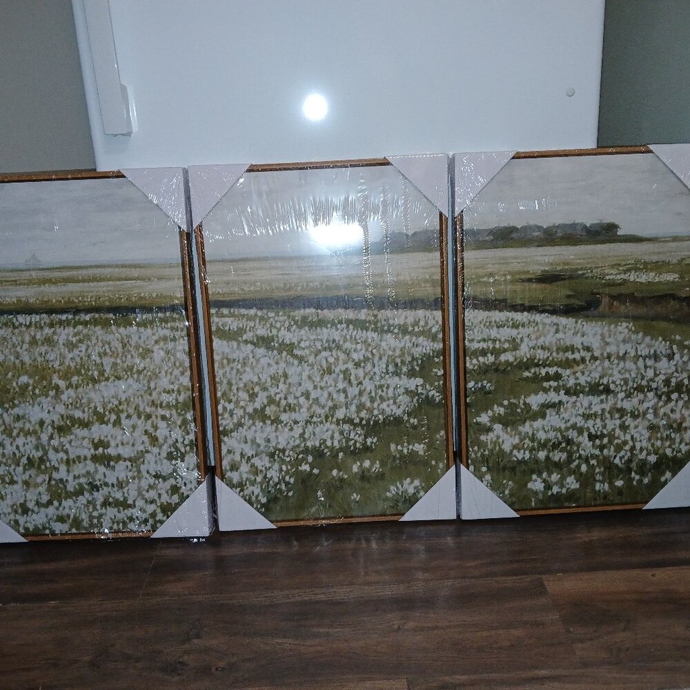 Framed Printed On Canvas Wall Art Triptych White Daisy Farm Field 16"x 24" x 3"